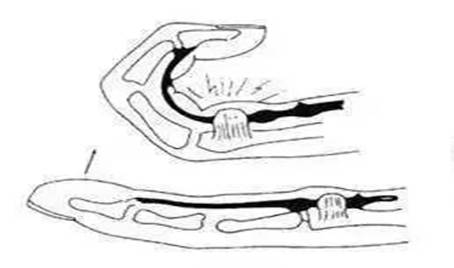 b8100ef5dda74115b48444bebf808d8f