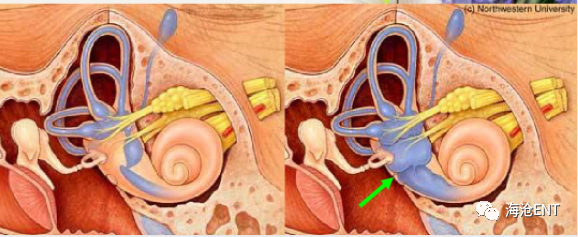说明: //mmbiz.qpic.cn/mmbiz_png/BvoBhibzZNiacUmpfRREDwK7ousZiaqvZYvRHR43gmvicTBJlphTTG9OYnJwsOyowzfxH0AcNZeEsajUicuNXzq5cTw/640?wx_fmt=png&tp=webp&wxfrom=5&wx_lazy=1&wx_co=1